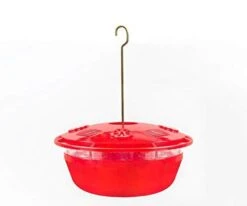 Humm-Bug Humm-Yumm Protein + Nectar Hummingbird Feeder