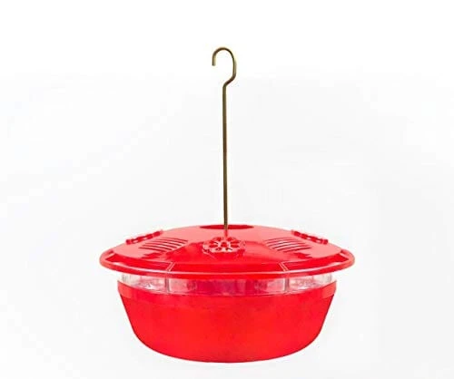 Humm-Bug Humm-Yumm Protein + Nectar Hummingbird Feeder 3 Humm-Bug Humm-Yumm Protein + Nectar Hummingbird Feeder