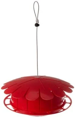Humm-Bug Protein Hummingbird Feeder
