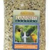 Kaylor Of Colorado Conure & Lovebird Rainforest Bird Food - 20 Lb Bag -Bird pet supplies Sales kaylor of colorado conure lovebird rainforest bird food 20 lb bag 154923