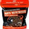 Mealworm To Go Dried Mealworms Wild Bird Food - 1.1 Lb -Bird pet supplies Sales mealworm to go dried mealworms wild bird food 11 lb 806030