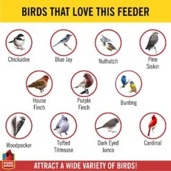 More Birds Combo Sunflower Or Thistle Wild Bird Feeder - Copper - 11 Lb Cap 14 More Birds Combo Sunflower Or Thistle Wild Bird Feeder - Copper - 11 Lb Cap -Bird pet supplies Sales more birds combo sunflower or thistle wild bird feeder copper 11 lb cap 310485