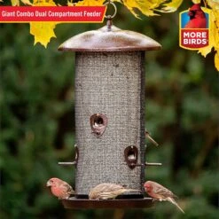 More Birds Combo Sunflower Or Thistle Wild Bird Feeder - Copper - 11 Lb Cap 11 More Birds Combo Sunflower Or Thistle Wild Bird Feeder - Copper - 11 Lb Cap -Bird pet supplies Sales more birds combo sunflower or thistle wild bird feeder copper 11 lb cap 922686