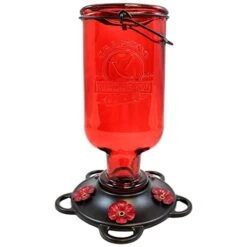 More Birds Elixir Antique Glass Hummingbird Feeder - Red - 13 Oz Cap - 4 Pack