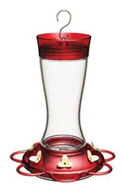More Birds Garnet Glass Hummingbird Feeder With Ant Moat - Red - 20 Oz Cap