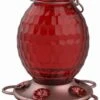 More Birds Gem Glass Hummingbird Feeder - Red - 22 Oz Cap - 2 Pack 1 More Birds Gem Glass Hummingbird Feeder - Red - 22 Oz Cap - 2 Pack -Bird pet supplies Sales more birds gem glass hummingbird feeder red 22 oz cap 2 pack 509940