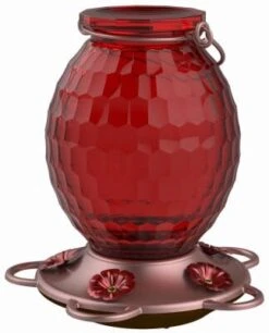 More Birds Gem Glass Hummingbird Feeder - Red - 22 Oz Cap - 2 Pack