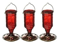 More Birds Jewel Glass Vintage Hummingbird Feeder - Red - 21 Oz Cap - 4 Pack