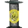 More Birds Little-Bit Screen Finch Wild Bird Feeder - Yellow - .6 Lbs Cap