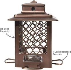 More Birds Metal Hopper Sunflower Wild Bird Feeder - Bronze - 3.6 Lbs Cap 11 More Birds Metal Hopper Sunflower Wild Bird Feeder - Bronze - 3.6 Lbs Cap -Bird pet supplies Sales more birds metal hopper sunflower wild bird feeder bronze 36 lbs cap 799646