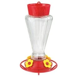 More Birds Royal Glass Hummingbird Feeder - Red - 28 Oz Cap - 4 Pack