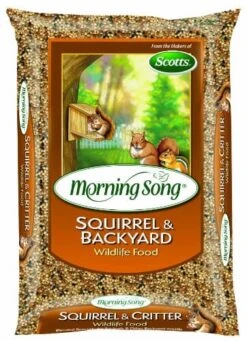 Morning Song Squirrel & Backyard Wildflife Food - 20 Lbs - 3 Pack