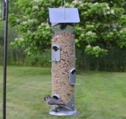 Nature's Way Farmhouse Deluxe Easy Clean Tubed Wild Bird Feeder - Silver - 2.8 Qt Cap 18 Nature's Way Farmhouse Deluxe Easy Clean Tubed Wild Bird Feeder - Silver - 2.8 Qt Cap -Bird pet supplies Sales natures way farmhouse deluxe easy clean tubed wild bird feeder silver 28 qt cap 371889