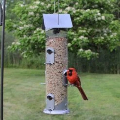 Nature's Way Farmhouse Deluxe Easy Clean Tubed Wild Bird Feeder - Silver - 2.8 Qt Cap 17 Nature's Way Farmhouse Deluxe Easy Clean Tubed Wild Bird Feeder - Silver - 2.8 Qt Cap -Bird pet supplies Sales natures way farmhouse deluxe easy clean tubed wild bird feeder silver 28 qt cap 696548