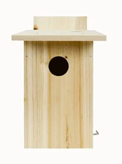 Nature's Way My First Blue Bird House With Viewing Window Diy Kit - Natural