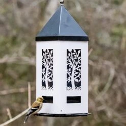 Nature's Way Squirrel Shield Metal Lantern And Squirrel-proof Wild Bird Feeder - White - 2 Qt Cap -Bird pet supplies Sales natures way squirrel shield metal lantern and squirrel proof wild bird feeder white 2 qt cap 927158
