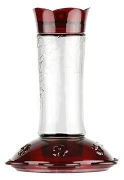 Nature's Way Traditional Glass Gravity Hummingbird Feeder - Red - 15 Oz Cap - 6 Pack