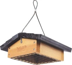 Nature's Way Upside Down Suet And Seed Cake Wild Bird Feeder - Cedar - 1 Cake Cap