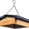 Nature's Way Upside Down Suet And Seed Cake Wild Bird Feeder - Cedar - 1 Large Cake 1 Nature's Way Upside Down Suet And Seed Cake Wild Bird Feeder - Cedar - 1 Large Cake -Bird pet supplies Sales natures way upside down suet and seed cake wild bird feeder cedar 1 large cake 384012