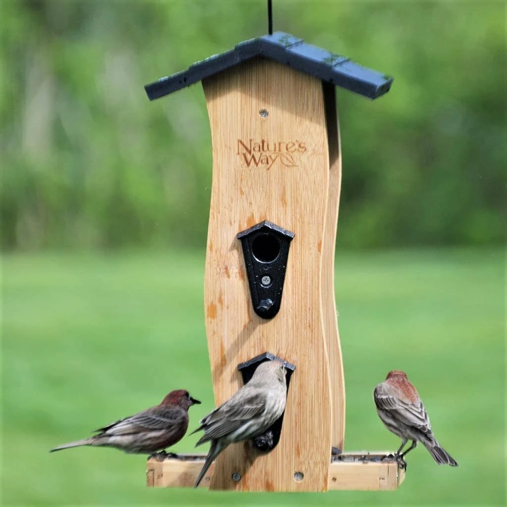 Nature's Way Vertical Wave Wooden Hopper Wild Bird Feeder - Bamboo - 2 Qt Cap 5 Nature's Way Vertical Wave Wooden Hopper Wild Bird Feeder - Bamboo - 2 Qt Cap - Image 3