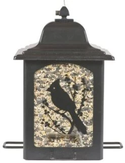Perky-Pet Birds & Berries Lantern Wild Bird Feeder - Black - 3 Lbs Cap