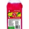 Perky-Pet Hummingbird Nectar Concentrate Wild Bird Food - Red - 64 Oz -Bird pet supplies Sales perky pet hummingbird nectar concentrate wild bird food red 64 oz 152437