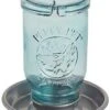 Perky-Pet Mason Jar Wild Bird Waterer Wild Bird Hanging Bath - Blue - 32 Oz Cap -Bird pet supplies Sales perky pet mason jar wild bird waterer wild bird hanging bath blue 32 oz cap 927926