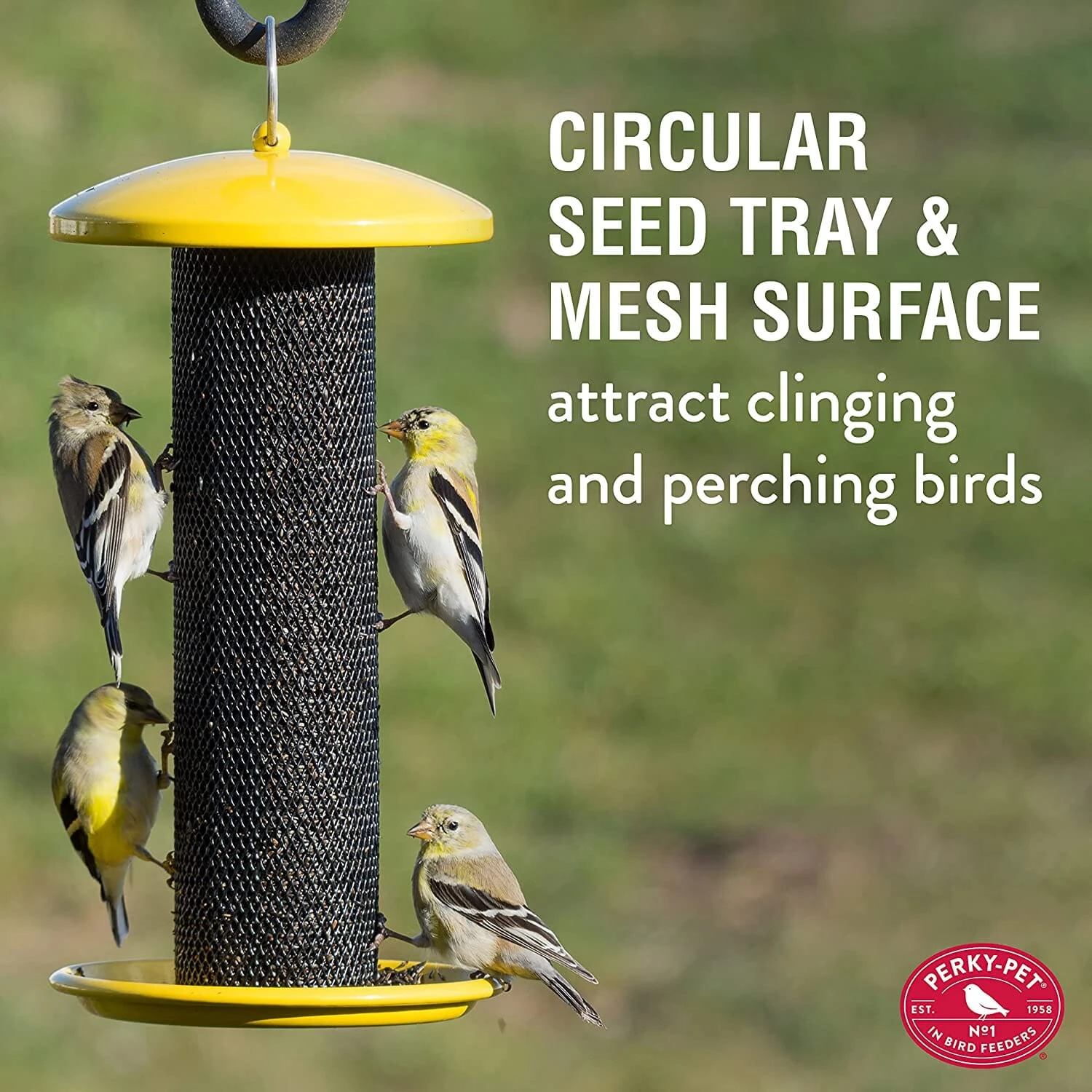 Perky-Pet Shorty Finch Tube Wild Bird Feeder - Yellow - .7 Lbs Cap 5 Perky-Pet Shorty Finch Tube Wild Bird Feeder - Yellow - .7 Lbs Cap - Image 3