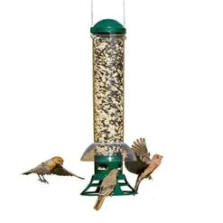 Perky-Pet Squirrel Slammer Wild Bird Tubed Wild Bird Feeder - Green - 3.5 Lbs Cap
