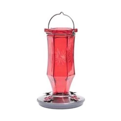 Perky-Pet Starburst Glass Vintage Hummingbird Feeder - Red - 16 Oz Cap - 2 Pack