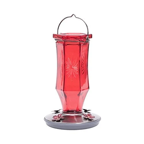 Perky-Pet Starburst Glass Vintage Hummingbird Feeder - Red - 16 Oz Cap - 2 Pack 3 Perky-Pet Starburst Glass Vintage Hummingbird Feeder - Red - 16 Oz Cap - 2 Pack