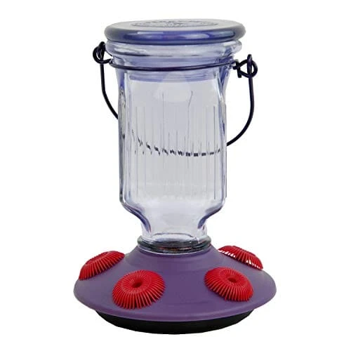 Perky-Pet Top-Fill Glass Hummingbird Feeder - Lavender - 16 Oz Cap - 2 Pack 3 Perky-Pet Top-Fill Glass Hummingbird Feeder - Lavender - 16 Oz Cap - 2 Pack