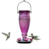 Perky-Pet Top-Fill Glass Hummingbird Feeder - Wine - 24 Oz Cap - 2 Pack 2 Perky-Pet Top-Fill Glass Hummingbird Feeder - Wine - 24 Oz Cap - 2 Pack -Bird pet supplies Sales perky pet top fill glass hummingbird feeder wine 24 oz cap 2 pack 346213