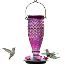 Perky-Pet Top-Fill Glass Hummingbird Feeder - Wine - 24 Oz Cap - 2 Pack