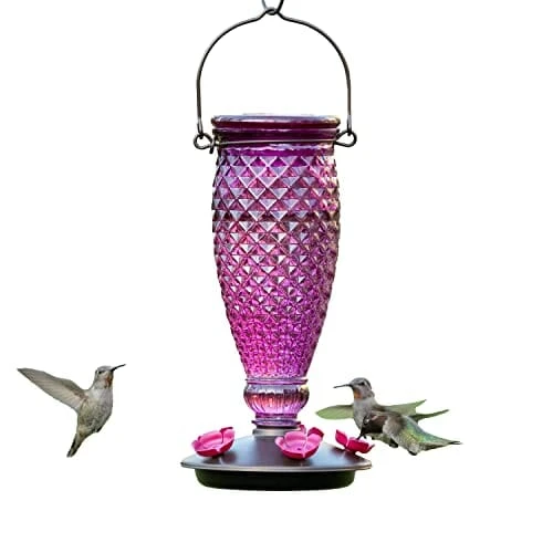 Perky-Pet Top-Fill Glass Hummingbird Feeder - Wine - 24 Oz Cap - 2 Pack 3 Perky-Pet Top-Fill Glass Hummingbird Feeder - Wine - 24 Oz Cap - 2 Pack