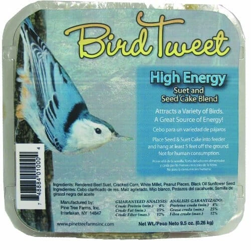 Pine Tree Farms Bird Tweet High Energy Suet Cakes Value Pack Wild Bird Food - 10 Pack 3 Pine Tree Farms Bird Tweet High Energy Suet Cakes Value Pack Wild Bird Food - 10 Pack