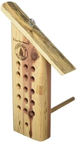 Pine Tree Farms Tree Icing Feeder Suet And Seed Cake Wild Bird Feeder - 1 Lb