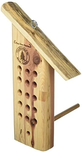 Pine Tree Farms Tree Icing Feeder Suet And Seed Cake Wild Bird Feeder - 1 Lb 3 Pine Tree Farms Tree Icing Feeder Suet And Seed Cake Wild Bird Feeder - 1 Lb