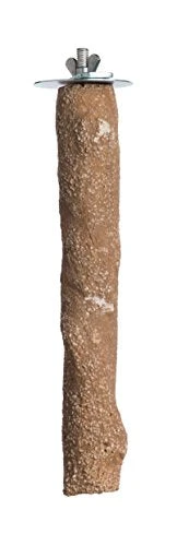 Prevue Hendryx Beach Branch - Medium