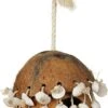 Prevue Hendryx Coco Hideaway With Shells -Bird pet supplies Sales prevue hendryx coco hideaway with shells 364673