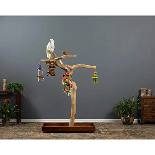 Prevue Hendryx Coffeawood Tree Floor Stand - Style 2 - Large 3 Prevue Hendryx Coffeawood Tree Floor Stand - Style 2 - Large