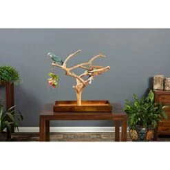 Prevue Hendryx Coffeawood Tree Mini Table Top - Medium