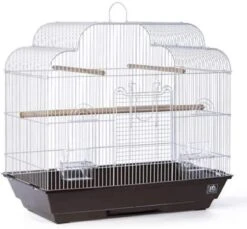 Prevue Hendryx Keet/Tiel Cascade Roof Cage