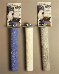 Prevue Hendryx Pacific Perch Beach Walk - Assorted Colors - X-Large