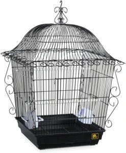 Prevue Hendryx Scrollwork Bird Cage - Black - 18" X 18" X 25"