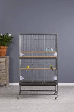 Prevue Hendryx Wrought Iron Flight Cage With Stand - Black - 31" X 20.5" X 53" -Bird pet supplies Sales prevue hendryx wrought iron flight cage with stand black 31 x 205 x 53 487204