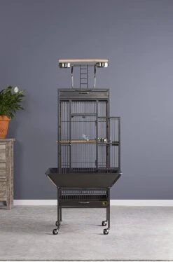 Prevue Hendryx Wrought Iron Select Bird Cage With Playtop - Black - 18" X 18" X 57" 19 Prevue Hendryx Wrought Iron Select Bird Cage With Playtop - Black - 18" X 18" X 57" -Bird pet supplies Sales prevue hendryx wrought iron select bird cage with playtop black 18 x 18 x 57 407070