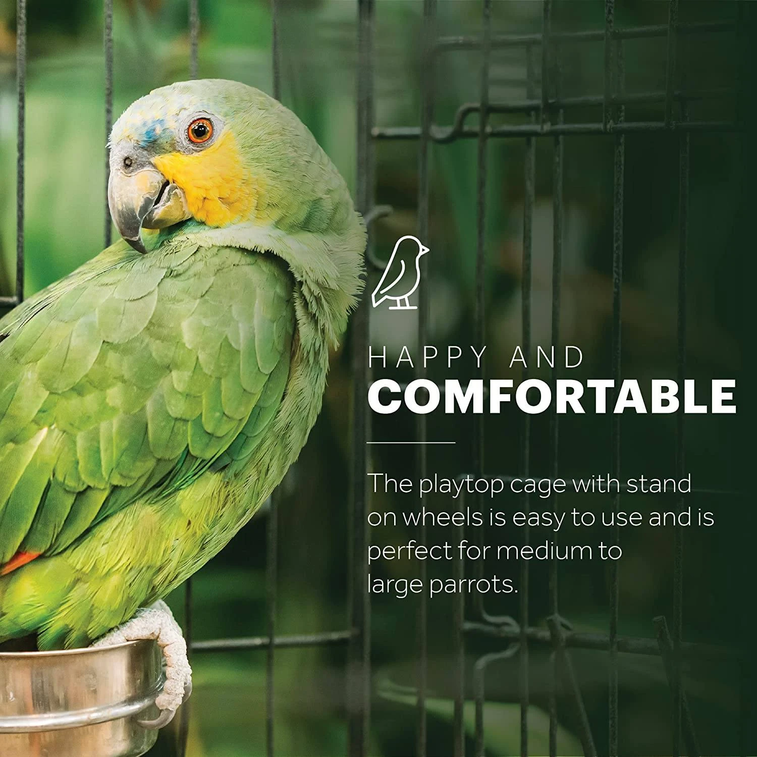 Prevue Hendryx Wrought Iron Select Bird Cage With Playtop - Black - 18" X 18" X 57" 4 Prevue Hendryx Wrought Iron Select Bird Cage With Playtop - Black - 18" X 18" X 57" - Image 2