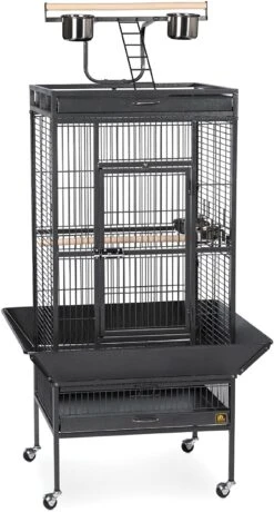 Prevue Hendryx Wrought Iron Select Bird Cage With Playtop - Black - 24" X 20" X 60"