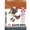 Purina Mills Gamebird Maintenance Gamebird And Pigeon Bird Food - 50 Lb Bag -Bird pet supplies Sales purina mills gamebird maintenance gamebird and pigeon bird food 50 lb bag 602064